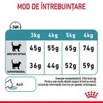 ROYAL CANIN Hairball Care Adult, alimento seco para gatos, control de las bolas de pelo, 2kg