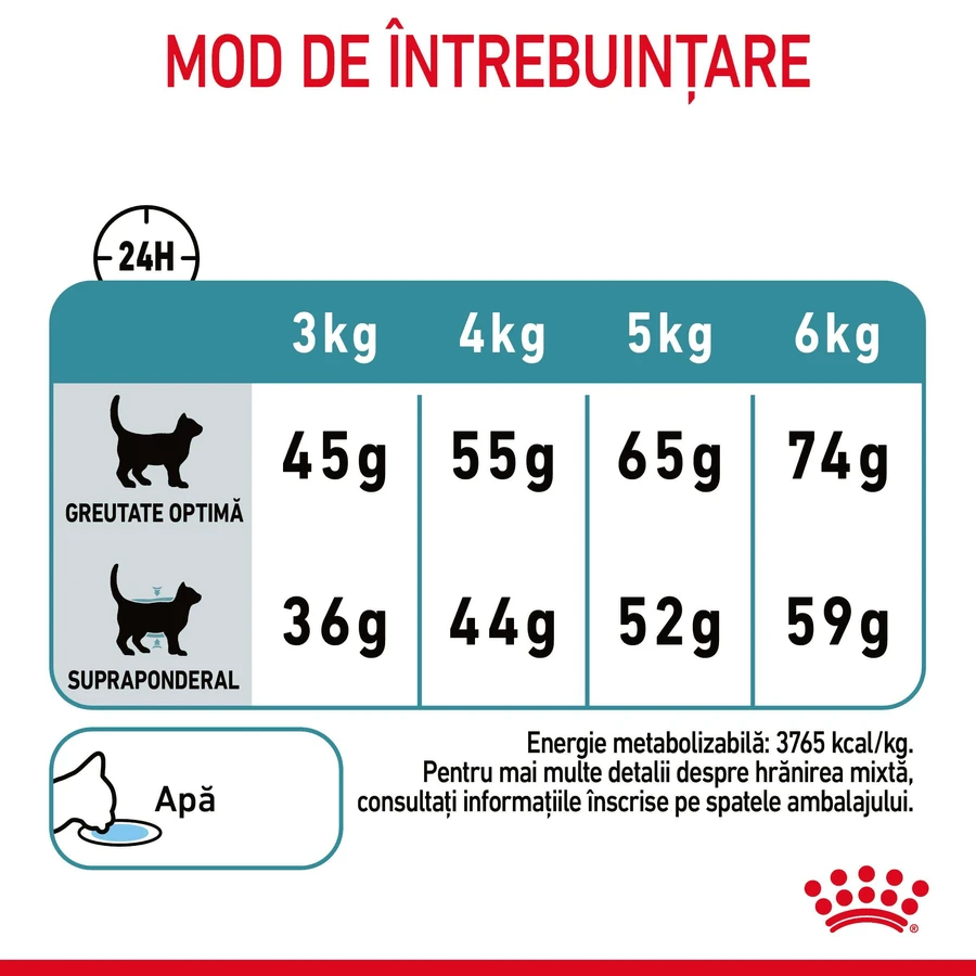 ROYAL CANIN Hairball Care Adult, alimento seco para gatos, control de las bolas de pelo, 2kg