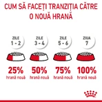 ROYAL CANIN Hairball Care Adult, alimento seco para gatos, control de las bolas de pelo, 2kg