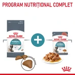 ROYAL CANIN Hairball Care Adult, alimento seco para gatos, control de las bolas de pelo, 2kg