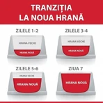 HILL'S Science Plan, Cordero, comida seca para gatos, 3kg