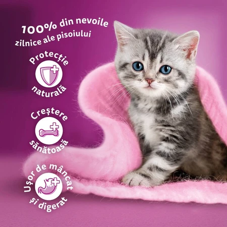 WHISKAS Junior Classic Selections, Rund en Kip, zakje natvoer voor junior katten, (in aspic), multipack, 85g x 4