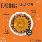 SCHESIR Functions Digestive Topper, Kürbis, Sachet getreidefreies Katzennassfutter, Verdauungssystem, (Topping), 40g