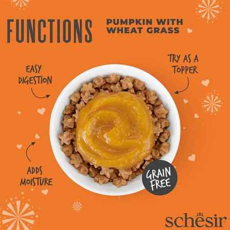SCHESIR Functions Digestive Topper, Kürbis, Sachet getreidefreies Katzennassfutter, Verdauungssystem, (Topping), 40g