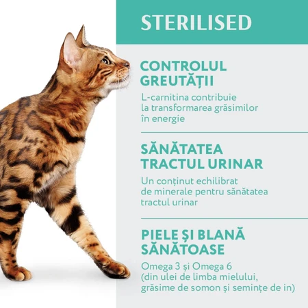 OPTIMEAL Sterilized, Turkey, dry food for sterilized cats, 1.5kg