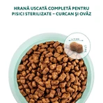 OPTIMEAL Sterilized, Turkey, dry food for sterilized cats, 1.5kg