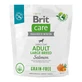 BRIT Care Grain-Free Adult Large Breed, L-XL, Salmón, alimento seco sin cereales para perros, piel y pelo, 1kg
