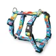 MAX &amp; MOLLY Little Monsters, harnais double (poitrine et dos) pour chiens, polyester, bleu, boucle à ardillon, S(43-53 x 1.5cm)