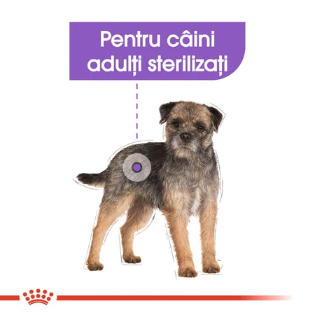 ROYAL CANIN Mini Sterilized Adult, Trockenfutter für sterilisierte Hunde, 1kg