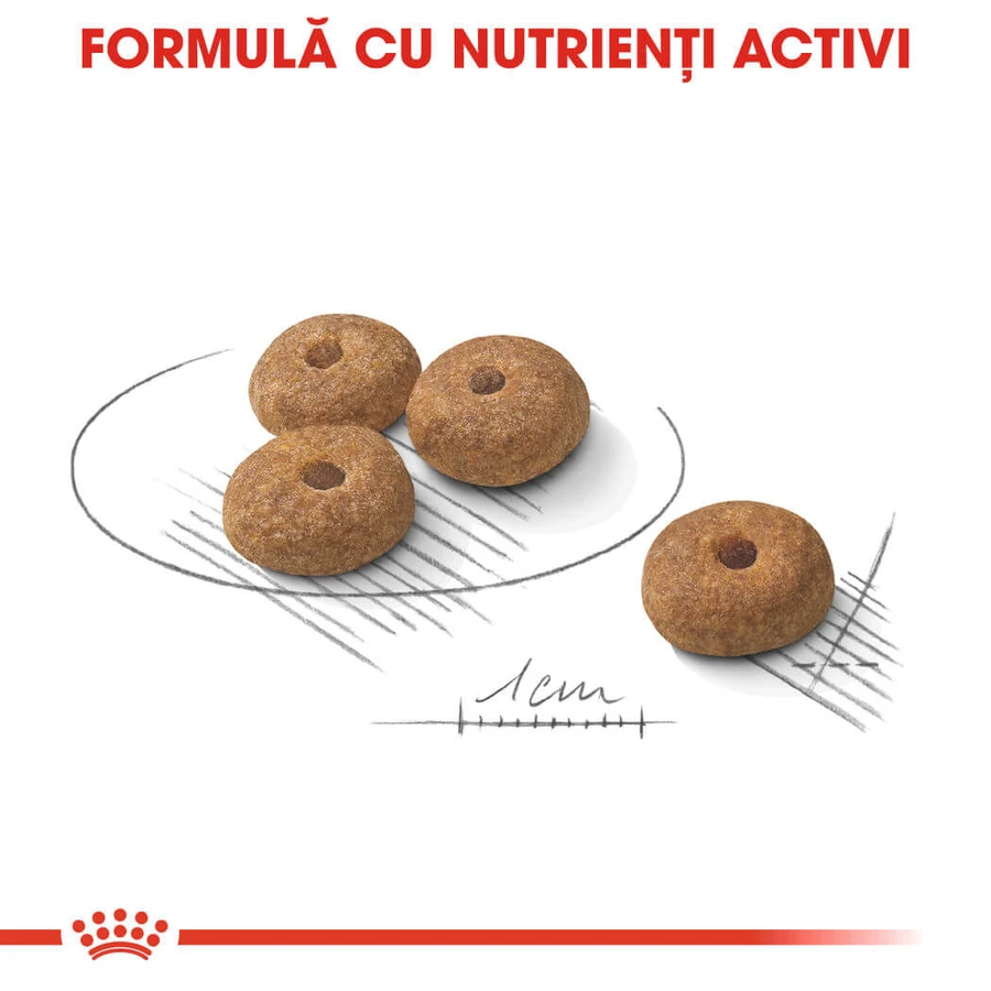 ROYAL CANIN Mini Sterilized Adult, Trockenfutter für sterilisierte Hunde, 1kg