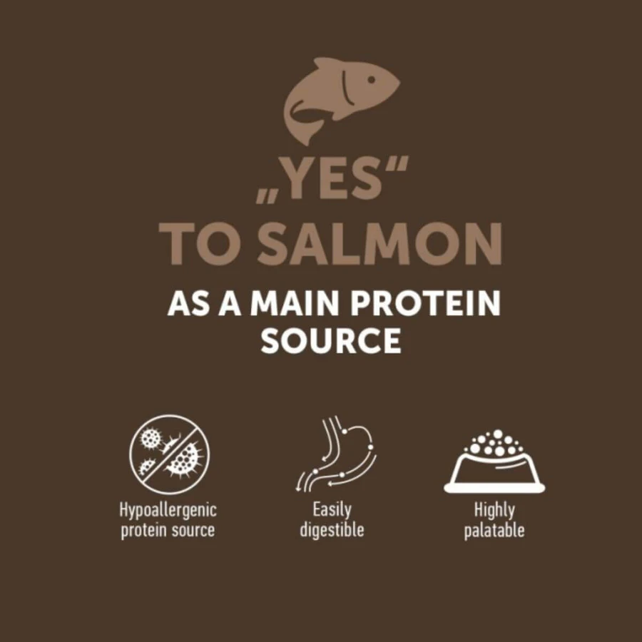 NATURES PROTECTION Lifestyle Kitten, saumon, nourriture sèche sans grain pour chats juniors, 400g