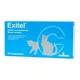 Exitel
