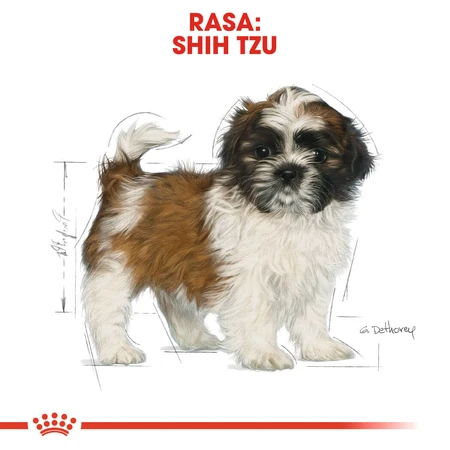 ROYAL CANIN Shih Tzu Puppy, dry food for junior dogs, 1.5kg