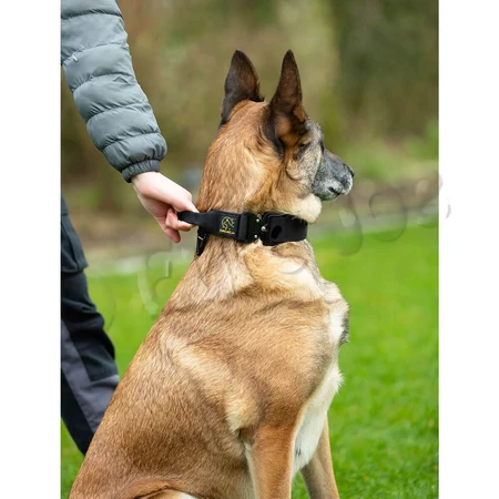 EURO JOE Tactical TC2+, Hundehalsband, Kontrollgriff, Nylon, schwarz, Cobra-Schnalle, XL(25-53 x 3.8cm)