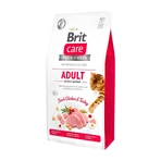 BRIT Care Adult Activity Support, Huhn und Pute, getreidefreies Katzentrockenfutter, hohe Aktivität, 400g