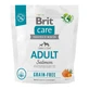 BRIT Care Grain-Free Adult, XS-M, Zalm, graanvrij droogvoer voor honden, huid & vacht, 1kg
