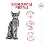 ROYAL CANIN Feline Feline Health Nutrition Fussy, Katzentrockenfutter, wählerischer Appetit, 400g