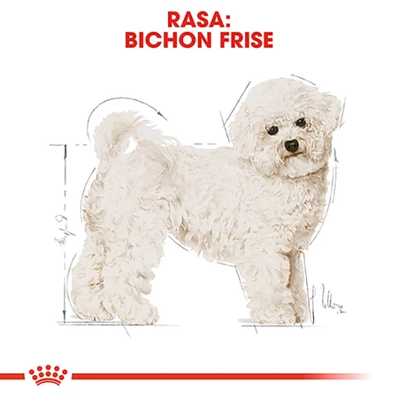 ROYAL CANIN Bichon Frise Adult, Trockenfutter für Hunde, 1,5 kg