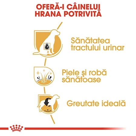 ROYAL CANIN Bichon Frise Adult, Trockenfutter für Hunde, 1,5 kg