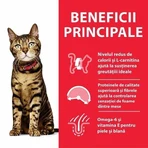 Hill's SP Feline Adult Pollo Light, 1,5 Kg