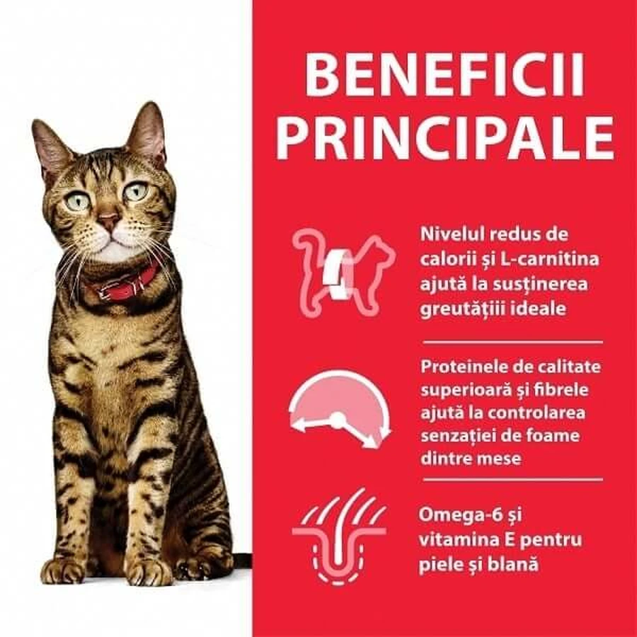 Hill's SP Feline Adult Pollo Light, 1,5 Kg
