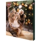 TRIXIE Christmas Premio Advent Calendar, cat reward box, 390g