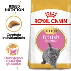 ROYAL CANIN Brits Korthaar Kitten, droogvoer voor jonge katten, 2kg