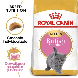 ROYAL CANIN Brits Korthaar Kitten, droogvoer voor jonge katten, 2kg