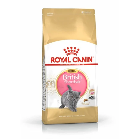 ROYAL CANIN Brits Korthaar Kitten, droogvoer voor jonge katten, 2kg