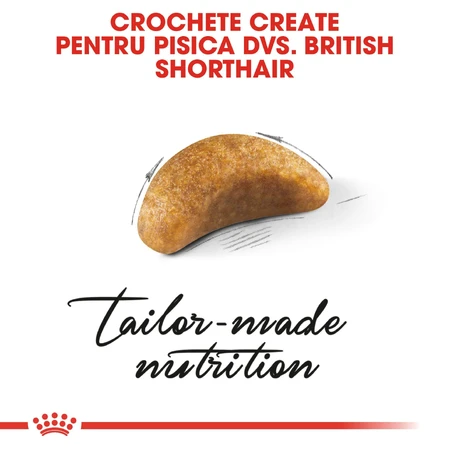 ROYAL CANIN Brits Korthaar Kitten, droogvoer voor jonge katten, 2kg