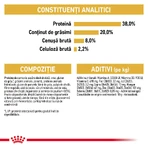 ROYAL CANIN Brits Korthaar Kitten, droogvoer voor jonge katten, 2kg