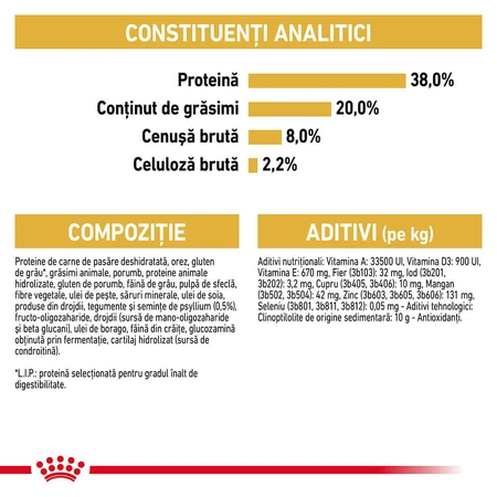 ROYAL CANIN Brits Korthaar Kitten, droogvoer voor jonge katten, 2kg