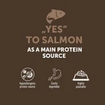 NATURES PROTECTION Lifestyle Lifestyle Sterilized, Salmon and Krill, dry food cereal-free for sterilized cats, 400g
