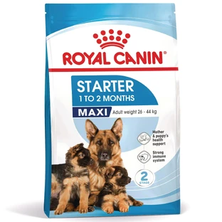 ROYAL CANIN Maxi Starter Mother & Babydog, moeder en puppy, droog hondenvoer, 4kg