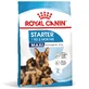 ROYAL CANIN Maxi Starter Mother & Babydog, moeder en puppy, droog hondenvoer, 4kg