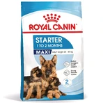 ROYAL CANIN Maxi Starter Mother & Babydog, moeder en puppy, droog hondenvoer, 4kg