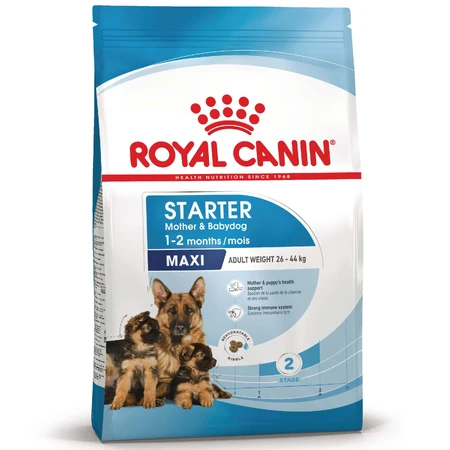 ROYAL CANIN Maxi Starter Mother & Babydog, moeder en puppy, droog hondenvoer, 4kg