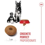 ROYAL CANIN Maxi Starter Mother & Babydog, moeder en puppy, droog hondenvoer, 4kg