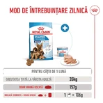 ROYAL CANIN Maxi Starter Mother & Babydog, moeder en puppy, droog hondenvoer, 4kg