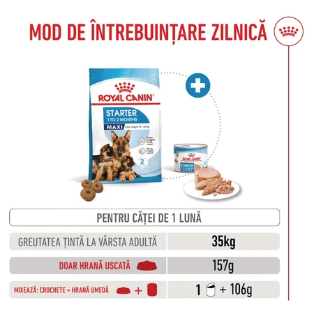 ROYAL CANIN Maxi Starter Mother & Babydog, moeder en puppy, droog hondenvoer, 4kg
