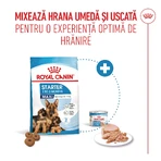 ROYAL CANIN Maxi Starter Mother & Babydog, moeder en puppy, droog hondenvoer, 4kg