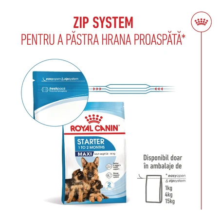 ROYAL CANIN Maxi Starter Mother & Babydog, moeder en puppy, droog hondenvoer, 4kg