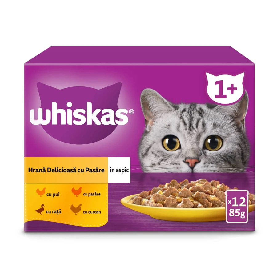 WHISKAS 1+ Poultry Feasts Selections, Poultry, sachet de nourriture humide pour chats, (en aspic), multipack, 85g x 12