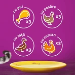 WHISKAS 1+ Poultry Feasts Selections, Poultry, sachet de nourriture humide pour chats, (en aspic), multipack, 85g x 12