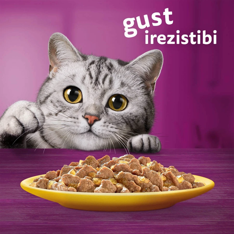 WHISKAS 1+ Poultry Feasts Selections, Poultry, sachet de nourriture humide pour chats, (en aspic), multipack, 85g x 12