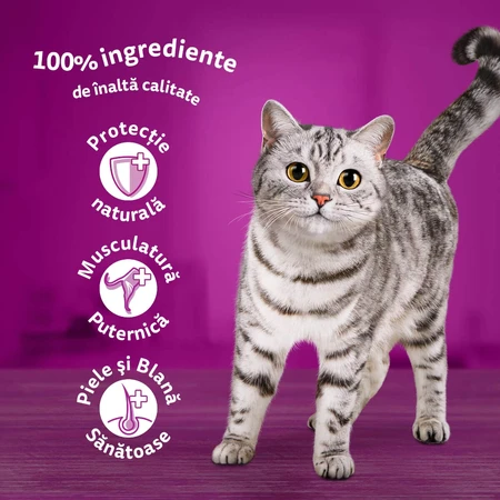 WHISKAS Selections Poultry, Chicken and Turkey, sachet de nourriture humide pour chats, (en sauce), multipack, 85g x 4