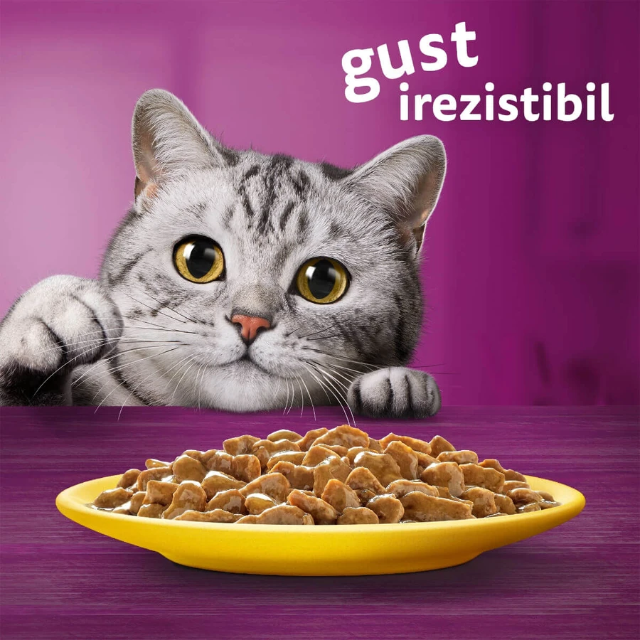 WHISKAS Selections Poultry, Chicken and Turkey, sachet de nourriture humide pour chats, (en sauce), multipack, 85g x 4