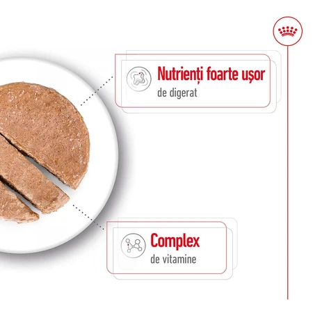 ROYAL CANIN Mini Adult nourriture humide pour chien (pâté), 195g