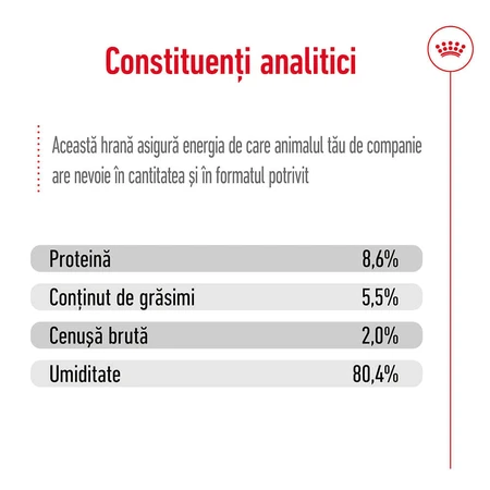 ROYAL CANIN Mini Adult nourriture humide pour chien (pâté), 195g