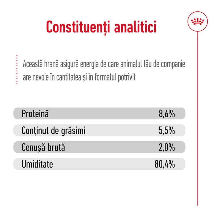 ROYAL CANIN Mini Adult nourriture humide pour chien (pâté), 195g